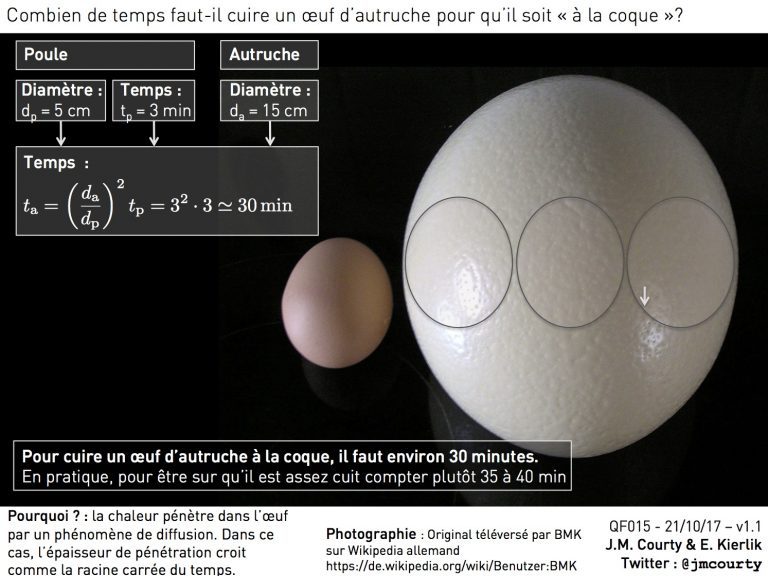 Cuire un oeuf d